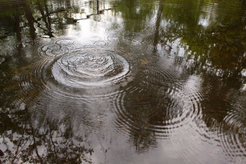 Konzentrische Wasserkreise auf einem Teich