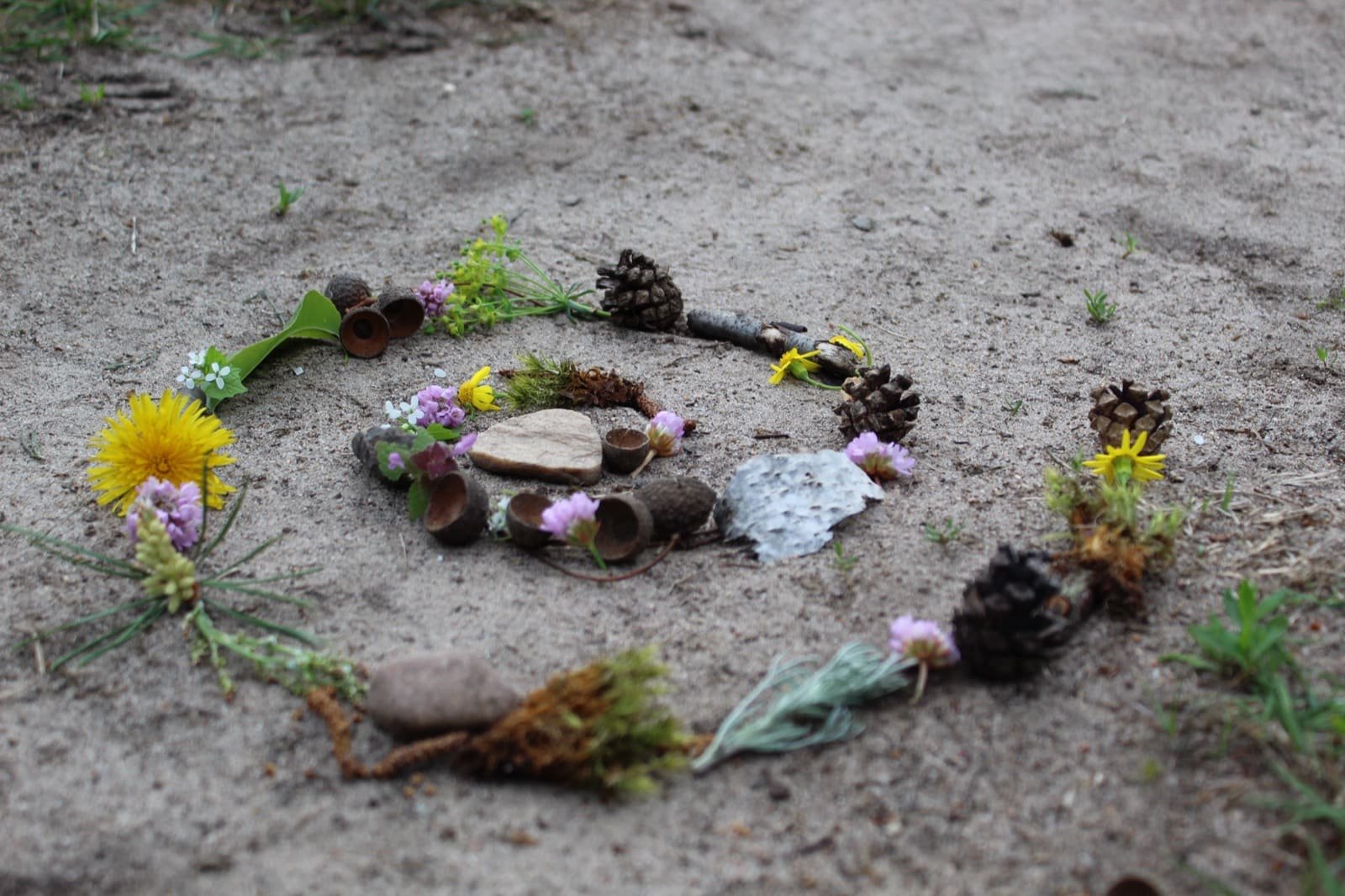 Spirale aus Blüten, Zapfen und Steinen auf sandigem Waldboden